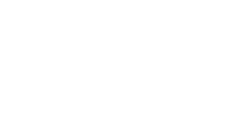 The Block Party